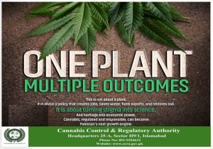 One Plant - Multiple Outcomes