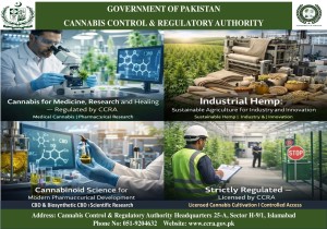 CCRA issues variety of Licenses.